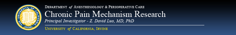 Chronic Pain Mechanism Research Logo